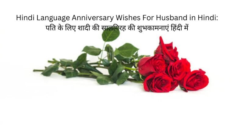 hindi language anniversary wishes for husband in hindi