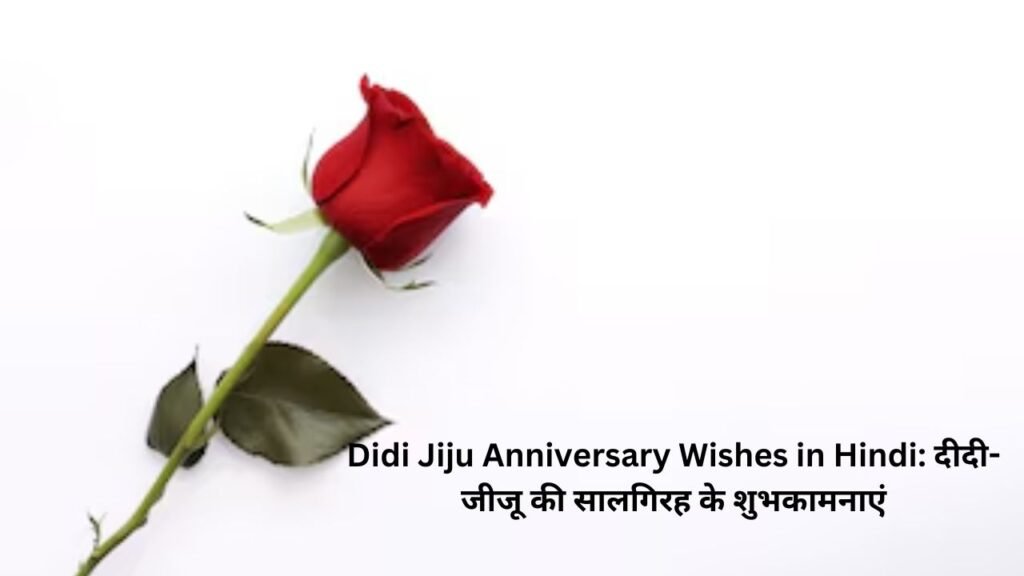 Didi Jiju Anniversary Wishes in Hindi: दीदी-जीजू की सालगिरह के शुभकामनाएं didi jiju anniversary wishes in hindi