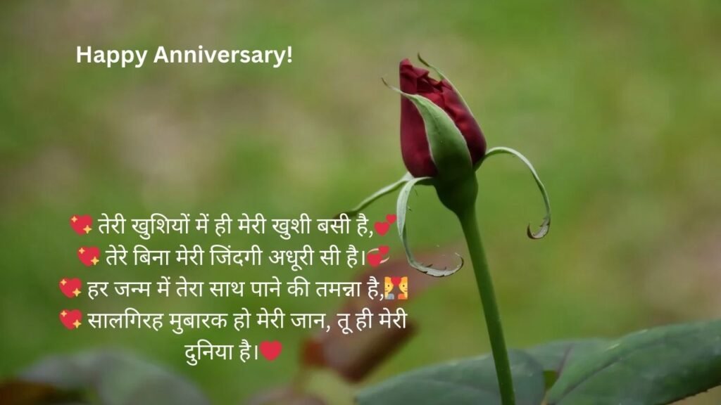 wife marriage anniversary wishes in hindi