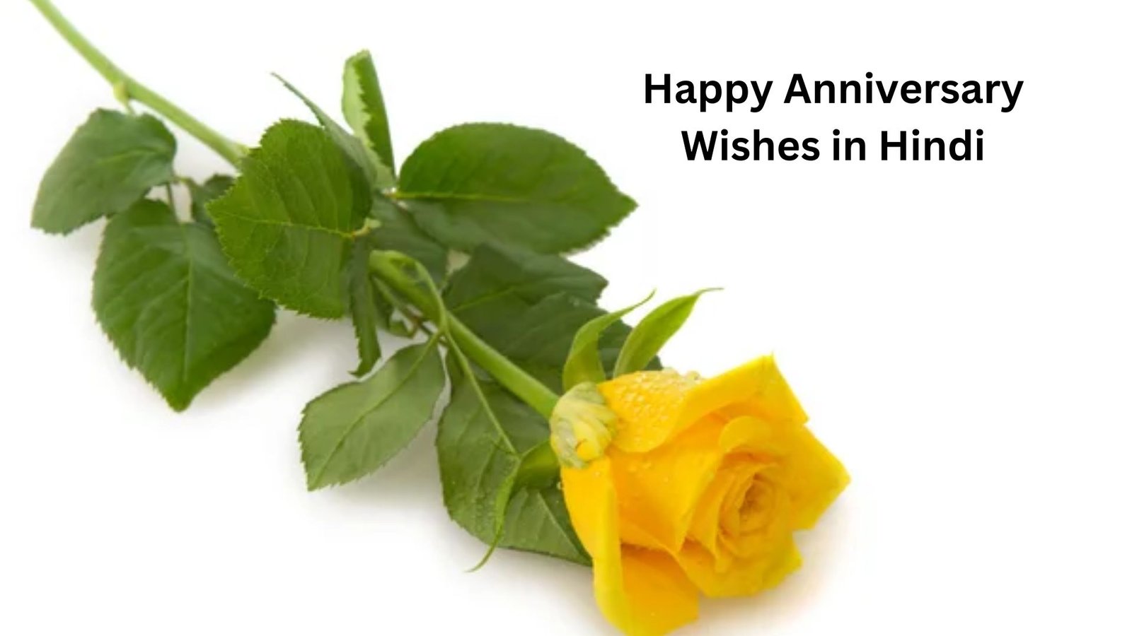 happy anniversary wishes in hindi