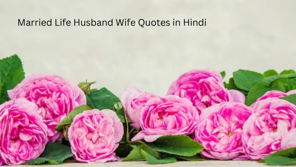 101 Best Married Life Husband Wife Quotes in Hindi married life husband wife quotes in hindi
