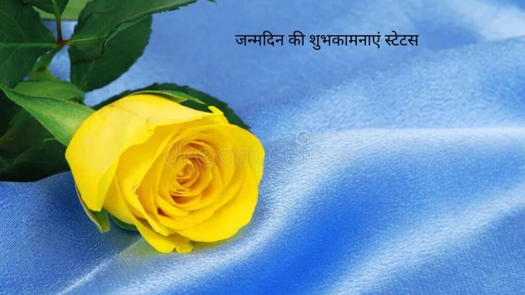 100 Best जन्मदिन की शुभकामनाएं स्टेटस जन्मदिन की शुभकामनाएं स्टेटस