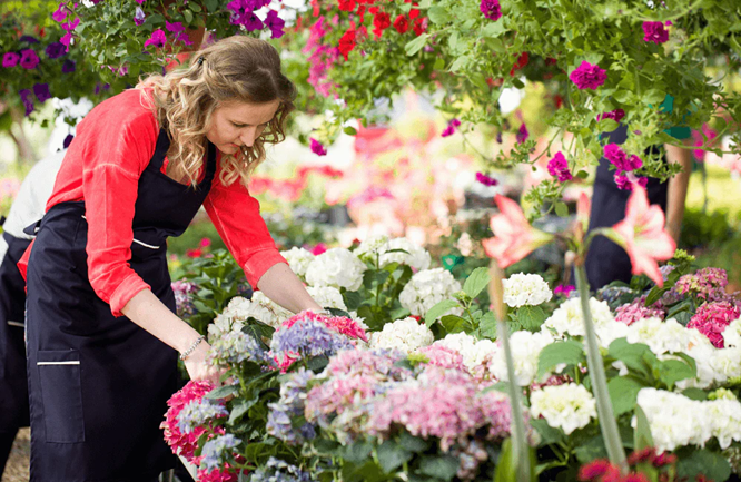 Seasonal Blossoms: What To Expect From A Flower Shop Near Rozelle? Seasonal Blossoms: What To Expect From A Flower Shop Near Rozelle?